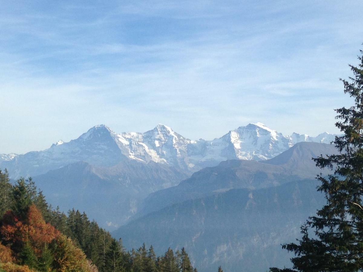 App. Seeblick Top Of Interlaken Beatenberg Zewnętrze zdjęcie