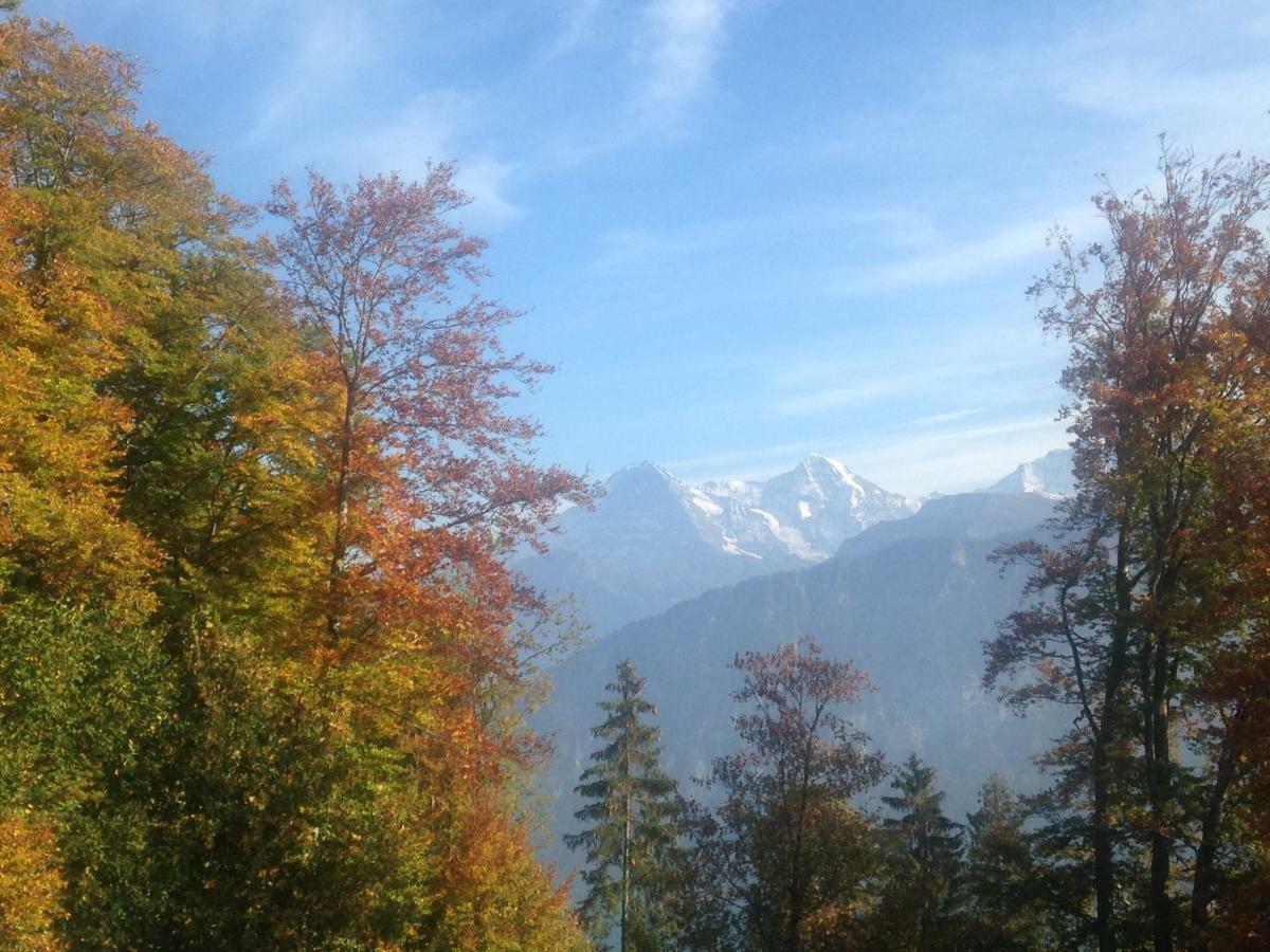 App. Seeblick Top Of Interlaken Beatenberg Zewnętrze zdjęcie