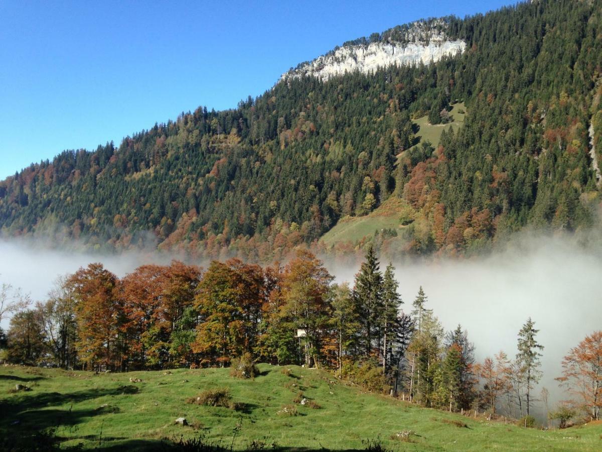 App. Seeblick Top Of Interlaken Beatenberg Zewnętrze zdjęcie