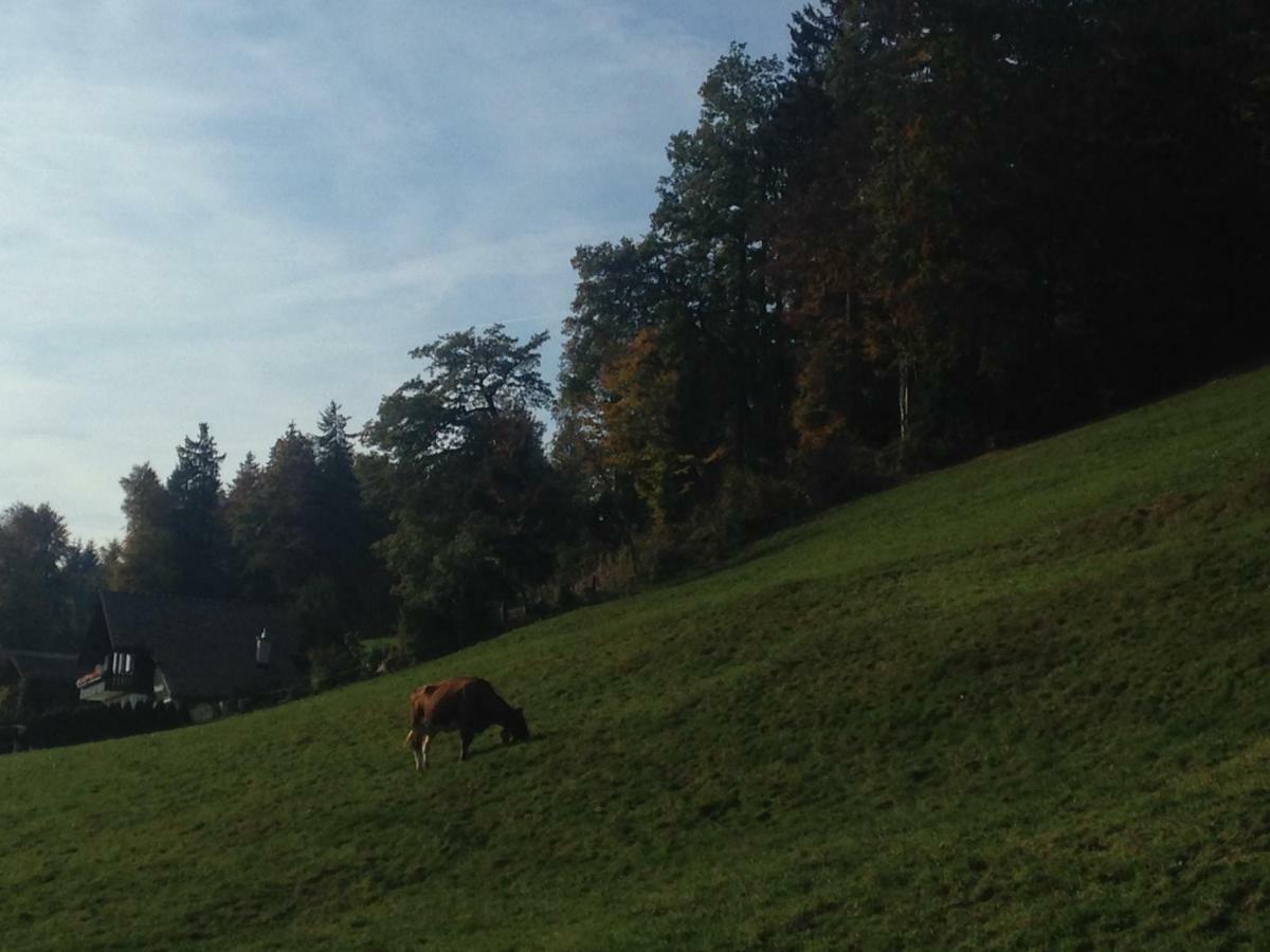 App. Seeblick Top Of Interlaken Beatenberg Zewnętrze zdjęcie